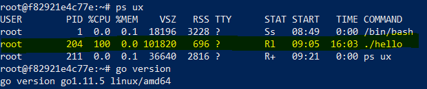 process stats for a program